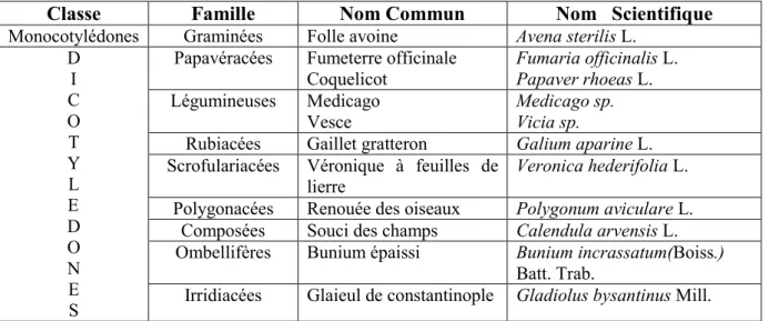 Tableau 7 : Classification des adventices  du site Nord 