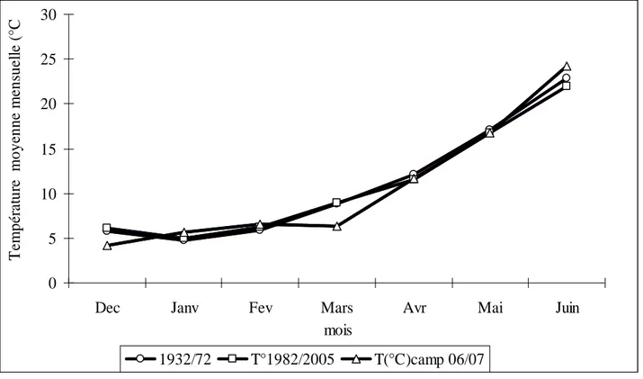 Figure 1. Températures mensuelles du cycle végétatif de trois périodes  comparatives (1932/72), (1982/2005) et (camp 2006/07) 