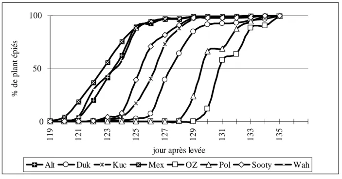 Figure 6. Evolution de l'épiaison (%) 