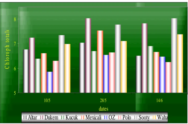 Figure 7. Evolution de la teneur de la chlorophylle totale de la feuille drapeau 