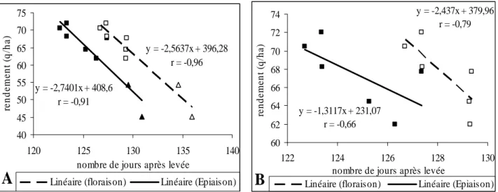 Figure 8. Relation entre précocité et rendement grain 