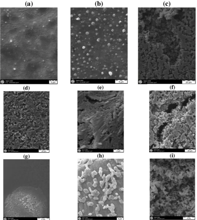 Fig. 3. SEM images of silane linker deposition (a, d, c) on PETE substrates. Later on, PPy growth (d, e, h), and after electro reduction of diazonium salts on the PPy surface (c, f, i)