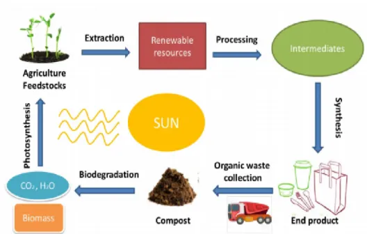 Figure  I.1.  Lifecycle  of  synthesized  biodegradable  polymers  derived  from  renewable  resources [17] 