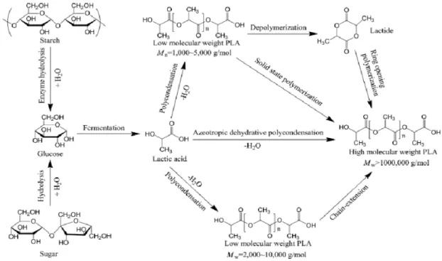 Figure I.8. Synthesis routes of poly(lactic acid) [43] 
