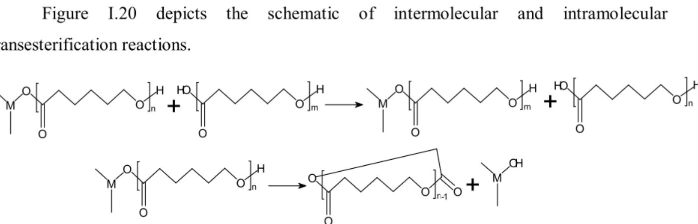 Figure  I.20  depicts  the  schematic  of  intermolecular  and  intramolecular  transesterification reactions