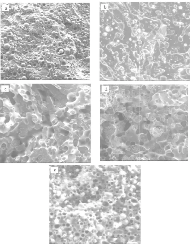 Figure III. 2: Micrographies obtenues par MEB des mélanges PEBD/PLA.