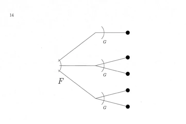 Figure  1.6  Représentation  générale d 'une  (F o G) -structure. 