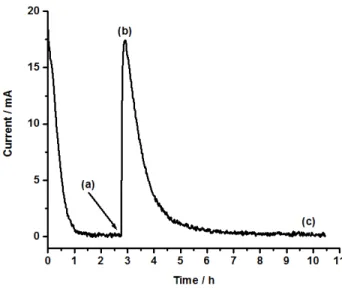 Fig. 3.  A typical oxidation peak (see text for details)  