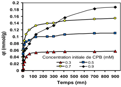 Fig.  II.31.  Cinétique  d’adsorption  de  CPB  à  différentes  concentrations  sur  0.2  g  de  AlPO 4 synthétisé électrochimiquement à 22°C dans 50 ml de solution à pH 7.5