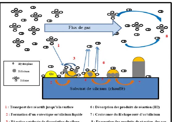 Figure I-12: A) Image MEB des nanofils de silicium synthétisés par VLS,  B) un nanofil de silicium  en  fort grossissement