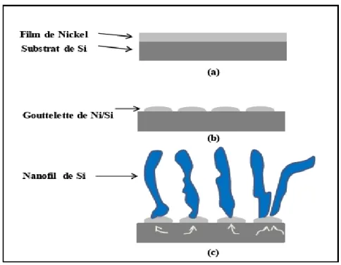 Figure I-17 : Image MEB de nanofils de silicium obtenus par SLS [19]. 