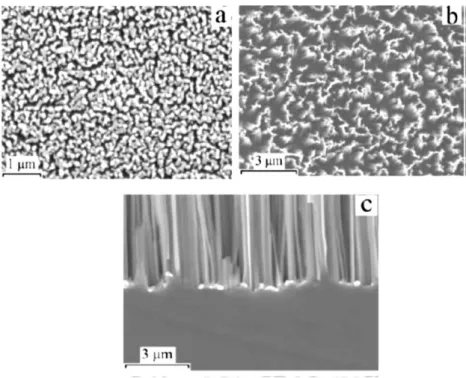 Figure II-5 : (a) Images MEB d’un film de nanoparticules d’Ag déposées sur une surface de Si de type p dans la  solution de HF/AgNO 3  pendant 1min, (b) Image MEB des nanofils de silicium élaborés dans la solution : 5 M 
