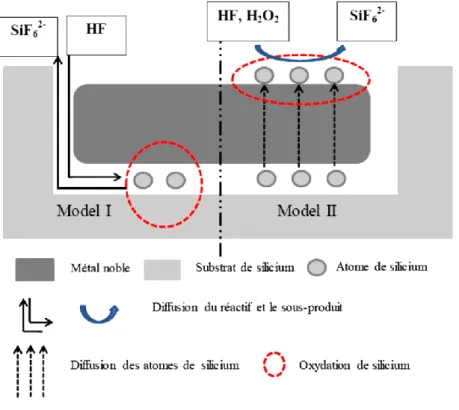 Figure II-8 : Schéma de deux modèles possibles de diffusion pendant le processus de gravure chimique assistée  par un métal  [10]