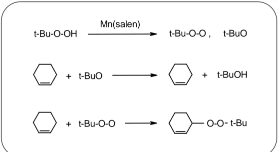 Figure III. 11 : Décomposition du TBHP et formation de peroxydes par action des  complexes Mn-bases de Schiff (Ourari 1995)