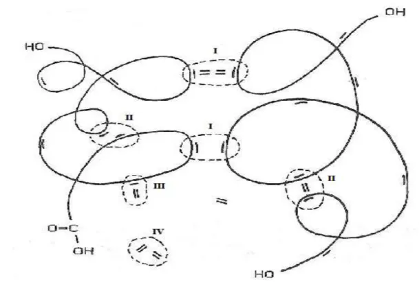 Figure I-7. Types de réactions possibles lors d’une copolymérisation du système résine  polyester insaturé/styrène [25]