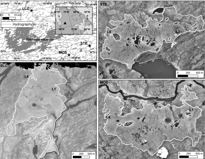 Figure 2. Study region, peatlands and coring locations. 