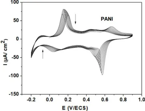 Figure 1.9 : Voltampérogramme cyclique de l'électropolymérisation de l’aniline dans une  solution H 2 O/ (LiClO 4  0,1 M+ H 2 SO 4  0,5 M),  enregistré  à v=10 mV/s dans un domaine de 