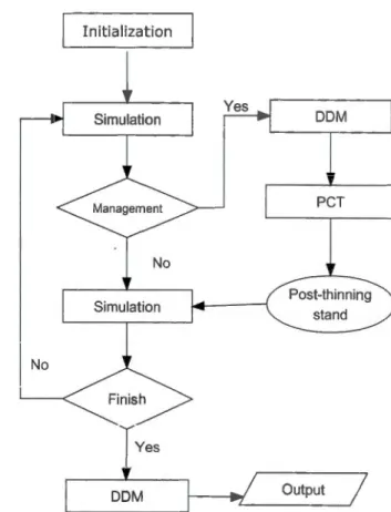 Figure 2.1  Flow diagram of a simulation  run.  DOM refers  diameter distribution  madel