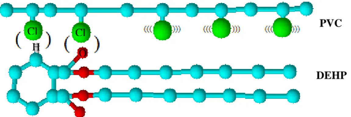 Figure I-2. Points d’interaction entre le polymère et le plastifiant [3]. 