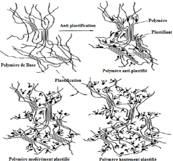 Figure I-5. L’effet de l’anti-plastification et de la plastification [2]. 