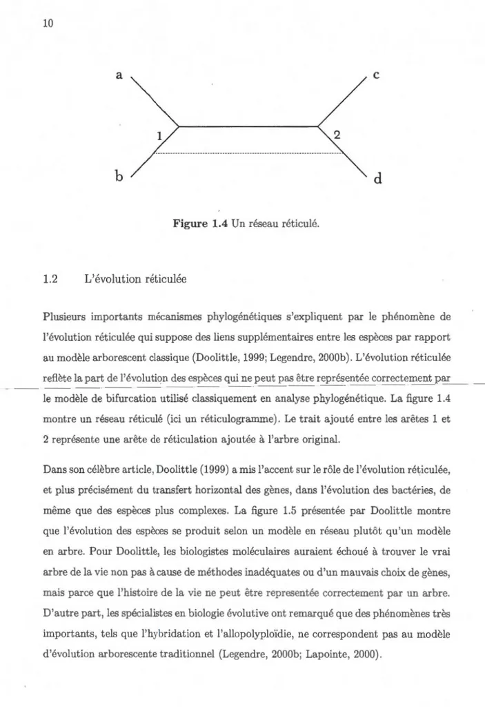 Figure  1.4 Un réseau  réticulé. 