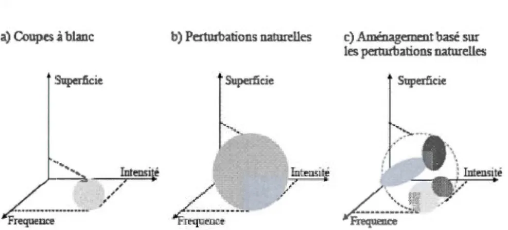 Figure 0.1  Vi sualisat ion  des  perturb ati ons  selon  leur  intens ité,  fréquence  et  surface