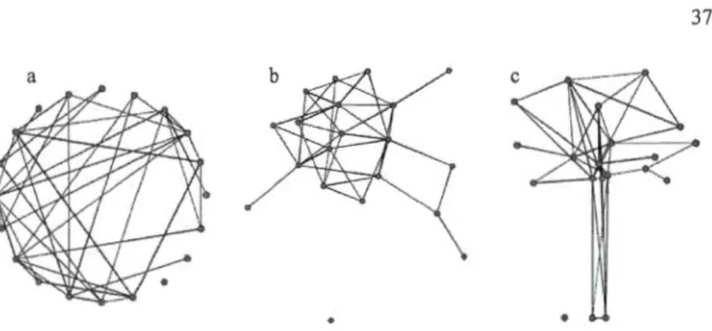 Figure  1.2  Examples  of  network  projections:  a,  b  and  c are  three  representations  of  th e same random network of20 nodes  (dots) having an  average of  4  links  for  each  node