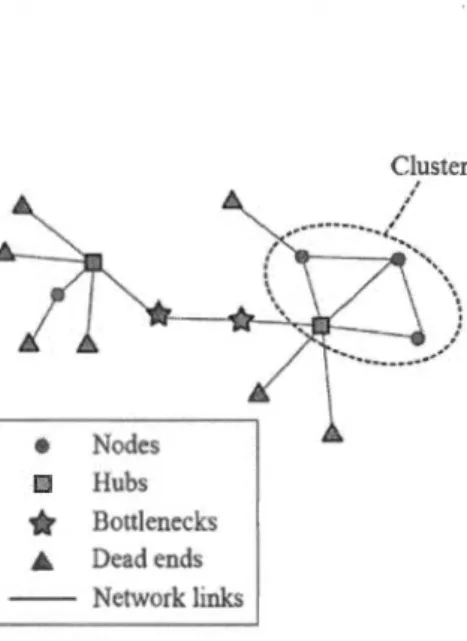 Figure  1.3  Remarkable nades:  Different  characteristic nades may emerge depending  on  the  overall  structure  of  the  network