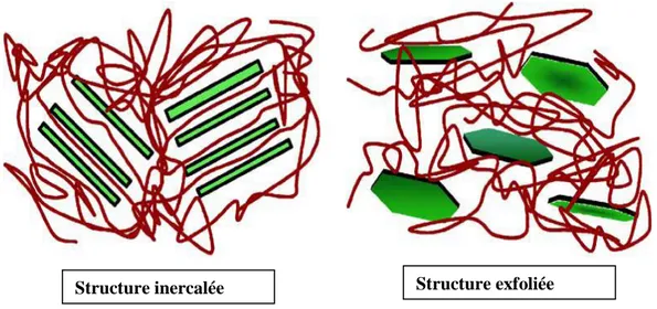 Figure I.4. Illustration schématique des deux types de nanocomposite polymère/couches  silicates  