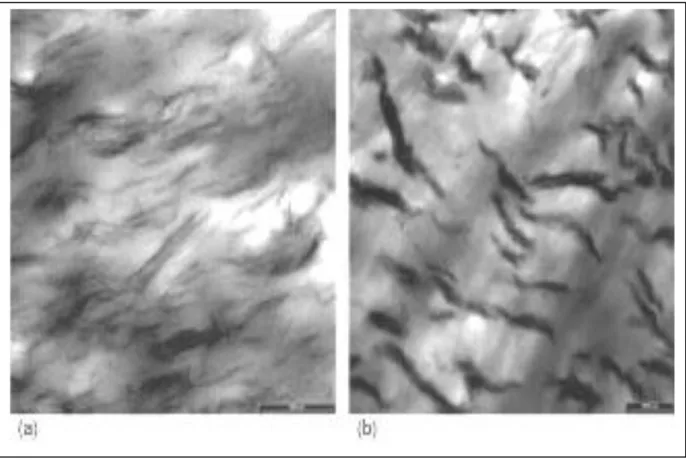 Figure I.6. Images TEM de nanocomposite de polypropylène préparé par moulage par  injection (a) avant recuit, (b) après recuit, [56] 