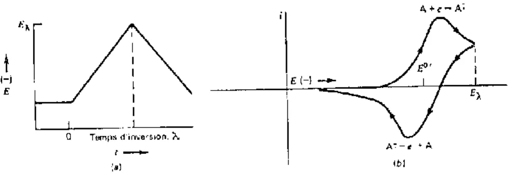 Figure 2 : Forme du potentiel en voltampérométrie cyclique 