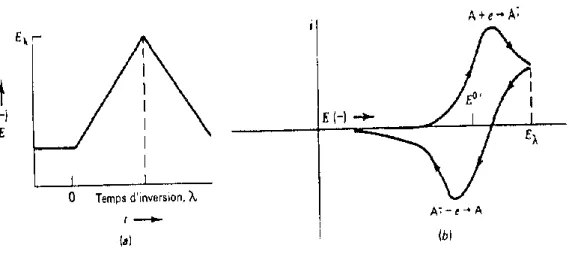 Figure 7: Balayage cyclique de potentiel (7a) et voltampérogramme correspondant (7b) 