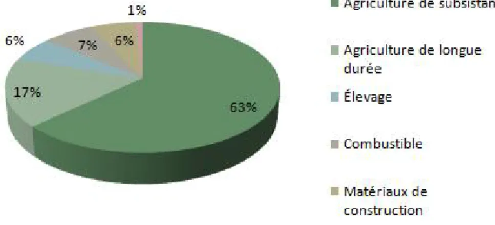 Figure 1.3  Activités anthropiques responsables de la déforestation  Source: inspiré de FAO (2011)  