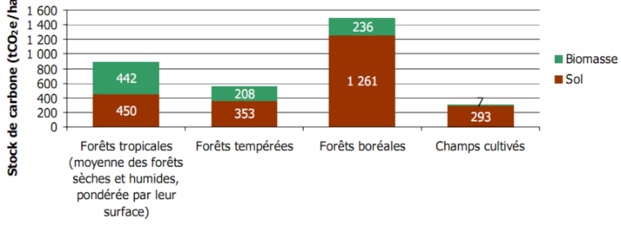 Figure 1.4  Stockage du carbone dans la biomasse et les sols des forêts mondiales  Source: Bellassen et al