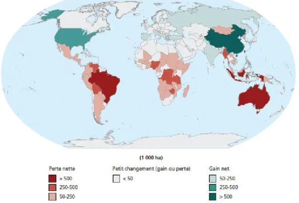 Figure 1.5  Variation de la superficie des forêts entre 2005 et 2010  Source: FAO (2010), p