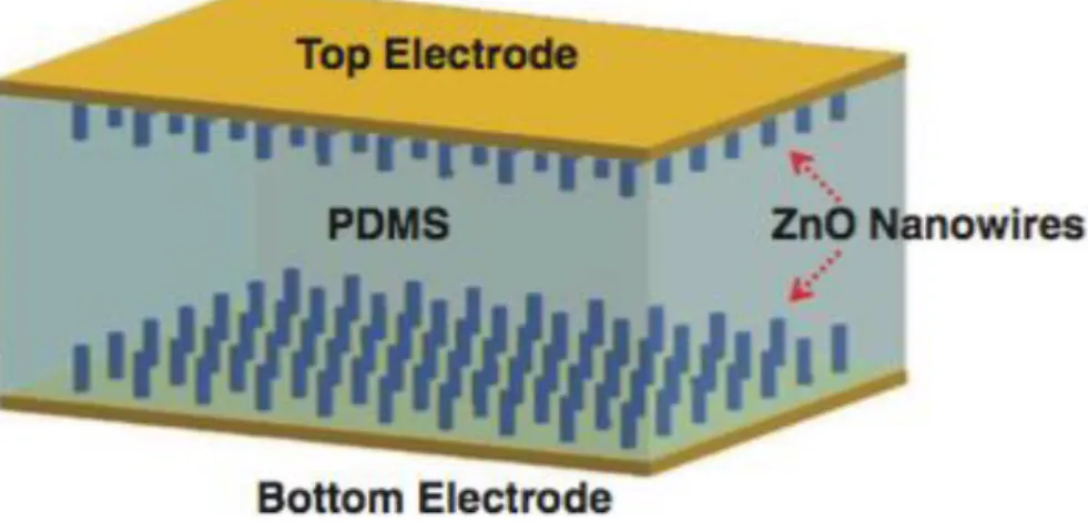 Figure 1.9. Schéma d’un nano-générateur à base d’oxyde de zinc sur un substrat flexible  polydimethylsiloxane (PDMS) [40]