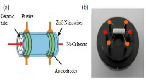 Figure 1.13. Image représentative d’un capteur réalisé à partir d’un tube d’alumine monté sur boîtier  TO [44]