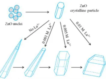 Figure 2.7. Effet de dopage au lanthane sur  la morphologie des nanoparticules de ZnO [52]