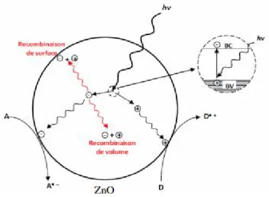 Figure I.7 : Recombinaison des charges photo-induites en surface et en volume 