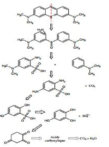 Figure I.11 : Mécanisme proposé pour la dégradation du colorant organique BM.