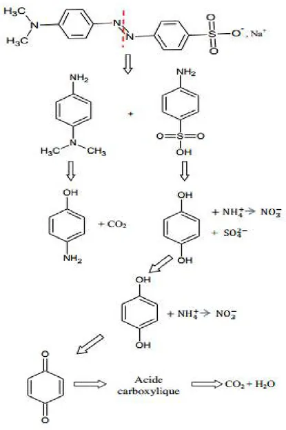 Figure I.12 : Mécanisme proposé pour la dégradation du colorant organique OM 