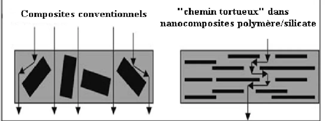 Figure I.6  Schéma représentatif de la tortuosité dans les polymères nanocomposites [32]