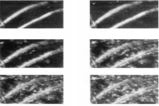 Figure III.3  Micrographies optiques du PP contenant 10% de fibres PET à différentes étapes  de sa cristallisation à 105°C [76]