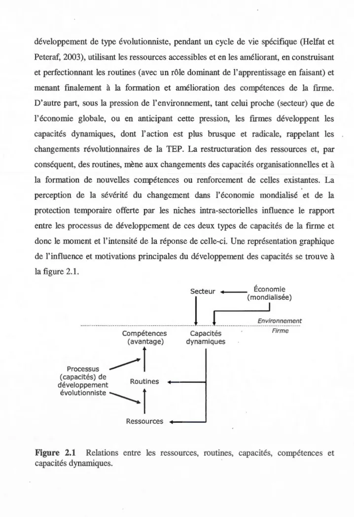 Figure  2.1  Relations  entre  les  ressources,  routines,  capacités,  compétences  et  capacités dynamique s