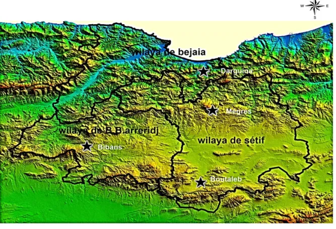 Figure 18 : les zones d’échantillonnage des espèces du genre Helichrysum 