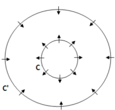 Figure 1:3: Existence d’un cycle limite compris entre C et C 0 :