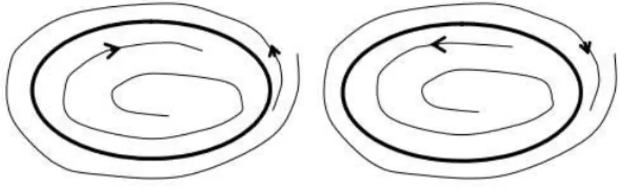 Figure 1.5 – Cycles limites semi-stable La section de Poincaré