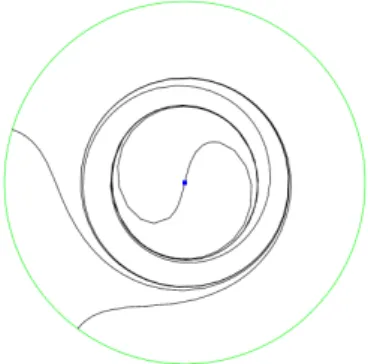 Figure 2.1 – Deux cycles limites pour le système (2.19) Système de degré 9