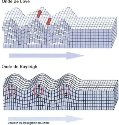 Figure 1.4  Mouvement du  sol provoqué par les types d'ondes de surface. 