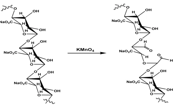 Figure I.15 : Oxydation du sodium alginate par le permanganate de potassium  (Lingbin et al., 2009)